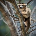 Madagascar 631-1 copia